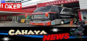Gaji Sopir Bus Rosalinda dan lowongan kerja PT Rosalia Indah Transport