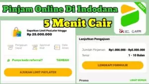 Review Aplikasi Pinjaman Online Indodana terdaftar di OJK