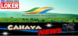 Gaji PTPN dan Lowongan kerja PT Perkebunan Nusantara, loker terbaru