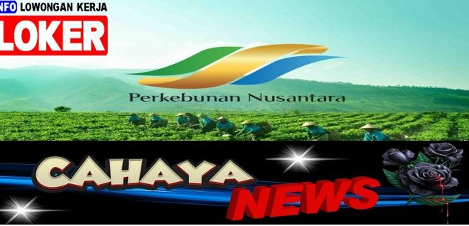 Gaji PTPN dan Lowongan kerja PT Perkebunan Nusantara, loker terbaru