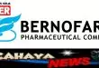 Lowongan kerja dan Gaji PT Bernofarm Pharmaceutical Company